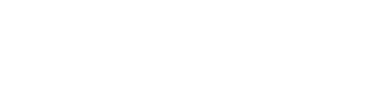 the_new_york_report__white_logo