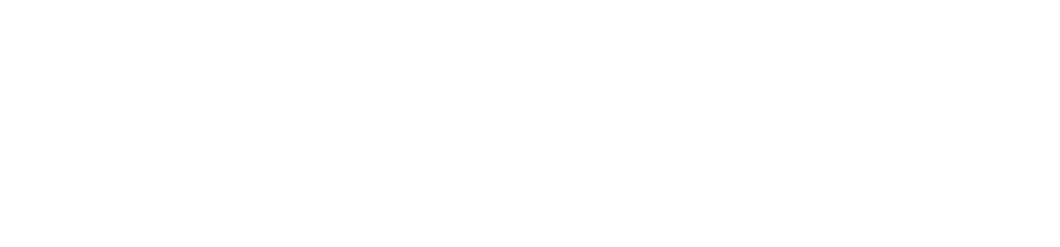 the_new_york_report_mobile_white_logo