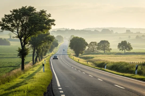 eu road fatalities