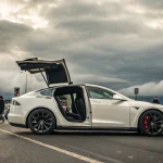 tesla robotaxi fleet