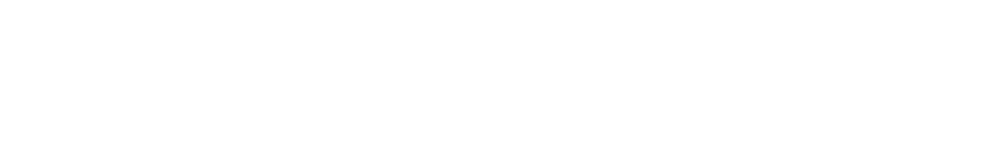 new_york_report_white_logo_2025
