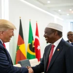 trump african chinese influence