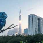 blue owl windfall spacex bet