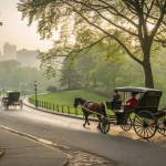 central park carriages resume operations