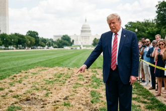 trump blames vandals mall grass damage