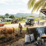 cuba energy crisis oil blockade